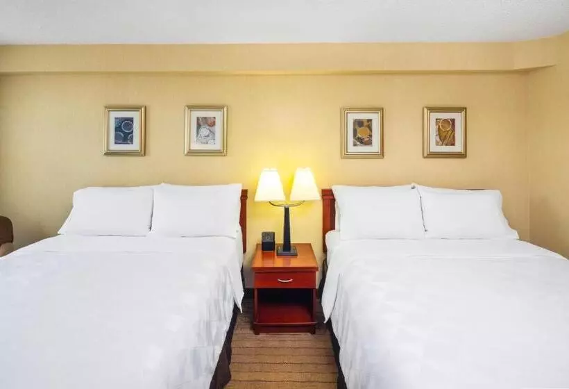 スタンダードルーム, Holiday Inn Laval Montreal, An Ihg