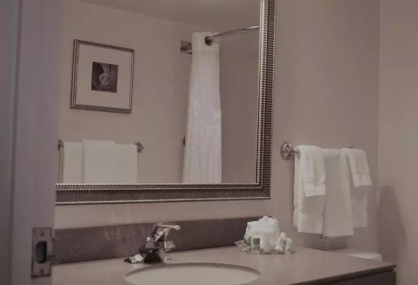身障者適用キングサイズベッドルーム, Holiday Inn Laval Montreal, An Ihg
