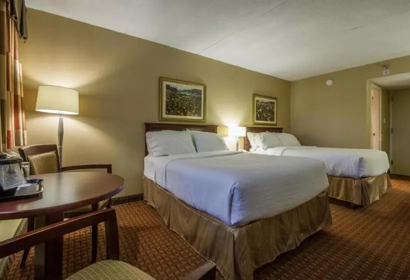 اتاق پرمیوم, Holiday Inn St Johns, An Ihg