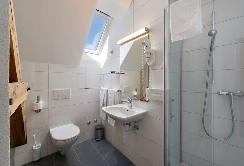 Номер Economy, National Bern