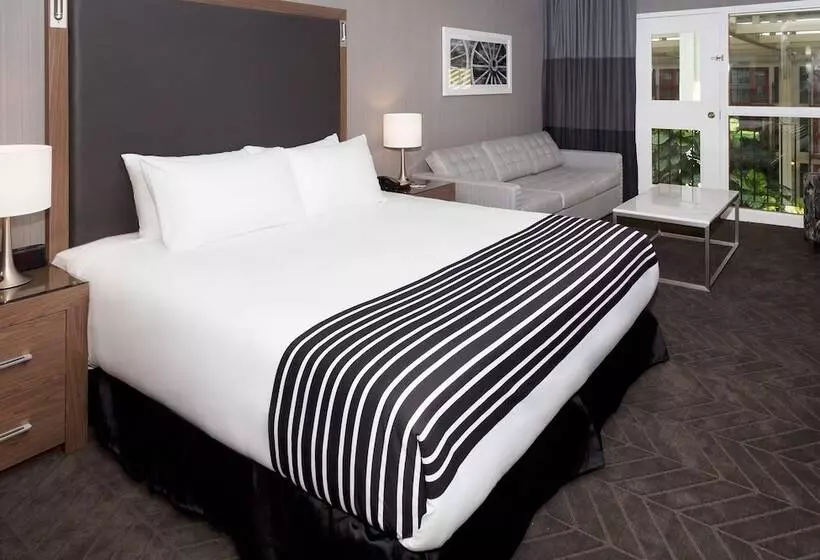 اتاق استاندارد با تخت بزرگ, Sandman Signature Lethbridge Lodge