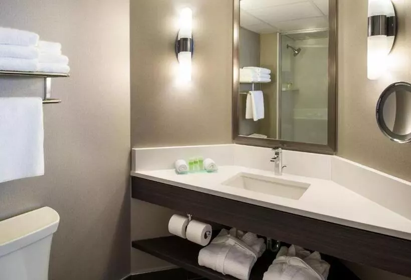 اتاق سوپریور با تخت بزرگ, Saskatoon Inn & Conference Centre