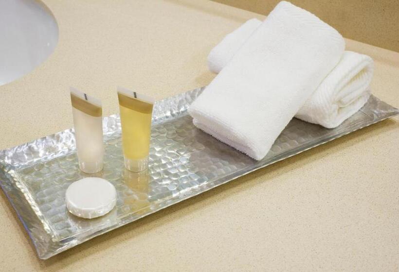 带大床的套房, Saskatoon Inn & Conference Centre