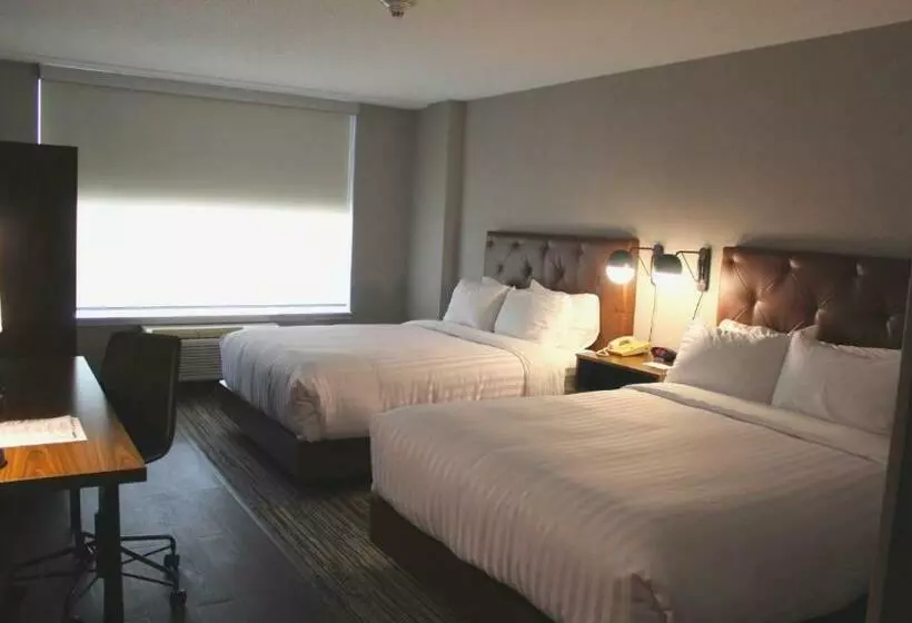 スタンダードルーム, Four Points By Sheraton Point Edward Sarnia