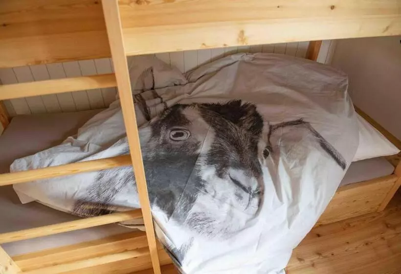 Quarto Familiar, Tödiblick
