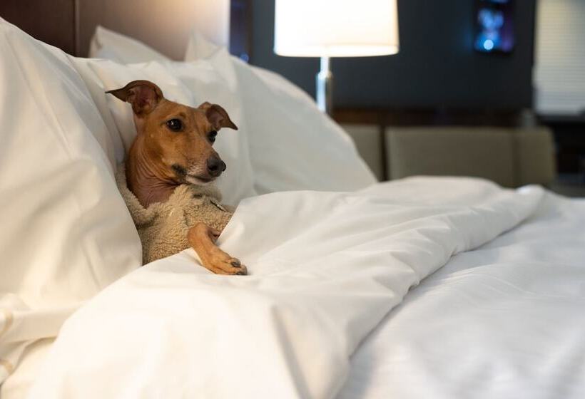 סוויטה, The Westin Harbour Castle, Toronto