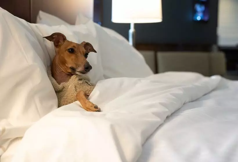 スイート, The Westin Harbour Castle, Toronto