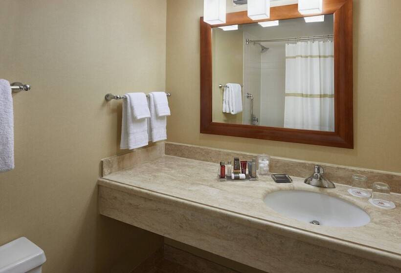 带2个双人床的标准工作室, Toronto Airport Marriott