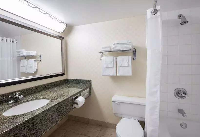 اتاق لوکس, Viscount Gort Hotel, Banquet & Conference Centre