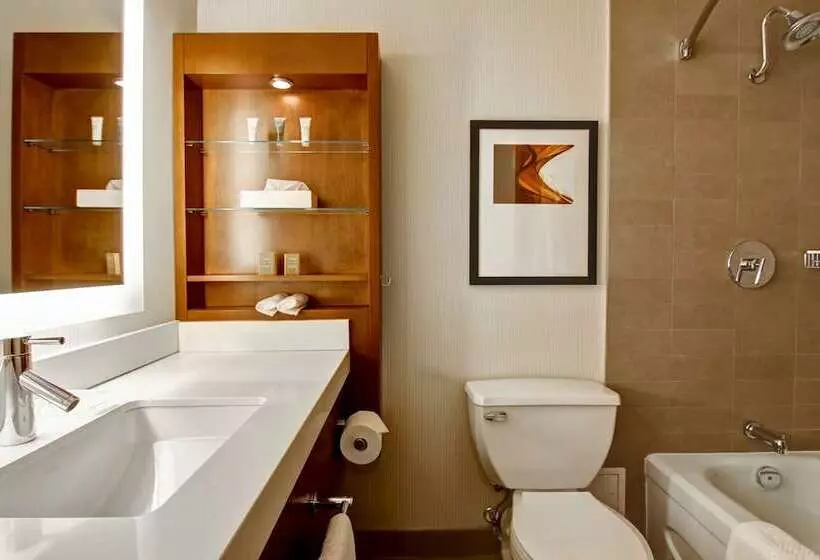 プレミアムルーム, Hilton Mississauga/meadowvale