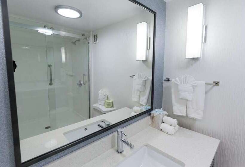 חדר דחוקס עם מיטת קינג, Hilton Mississauga/meadowvale