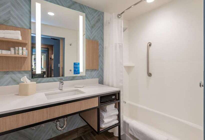 带大床的豪华间, Hilton Mississauga/meadowvale