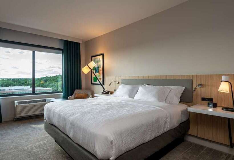 带大床的豪华间, Hilton Mississauga/meadowvale
