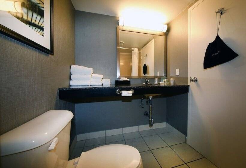 غرفه قياسيه سريرين مزدوجين, Holiday Inn Hotel Peterborough Waterfront, An Ihg