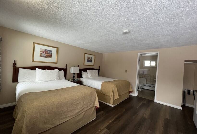 غرفه قياسيه سريرين مزدوجين, Villa Motel