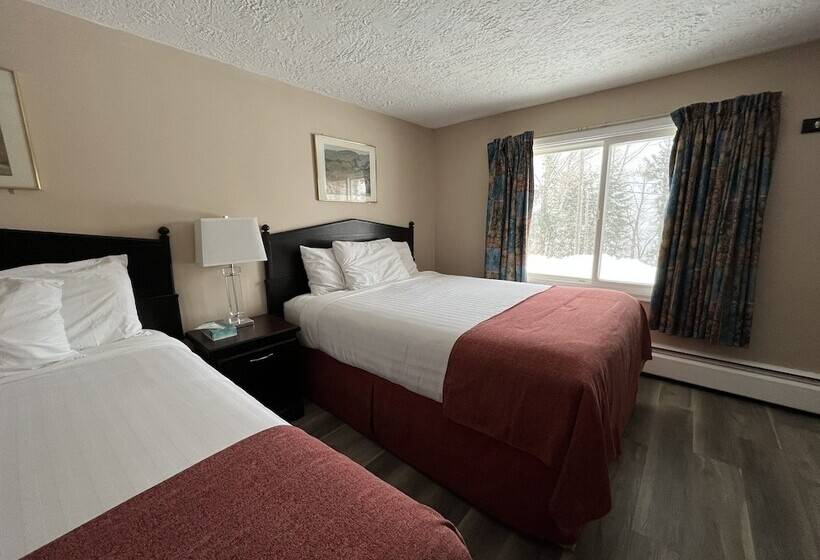 Номер Стандарт 2 Двуспальные Кровати, Villa Motel