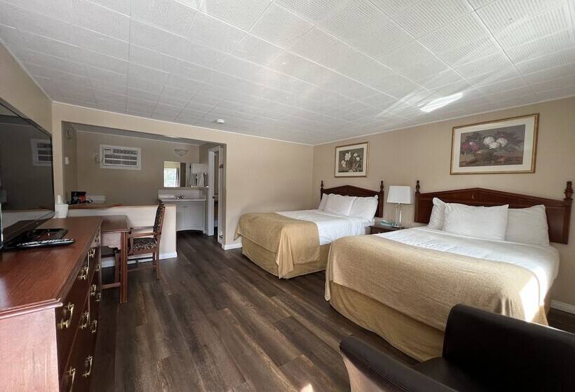 Номер Стандарт 2 Двуспальные Кровати, Villa Motel