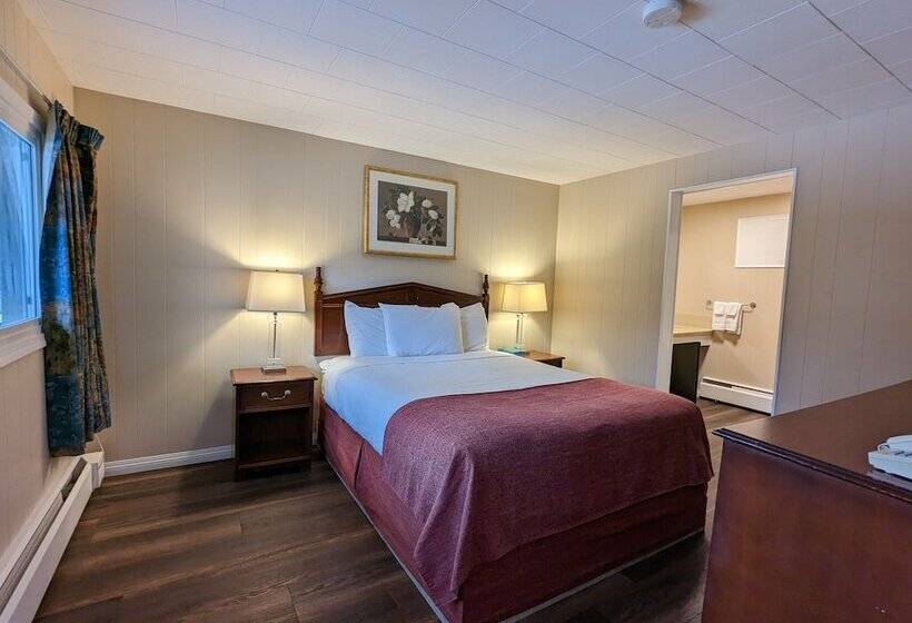 جناح غرفتين نوم, Villa Motel