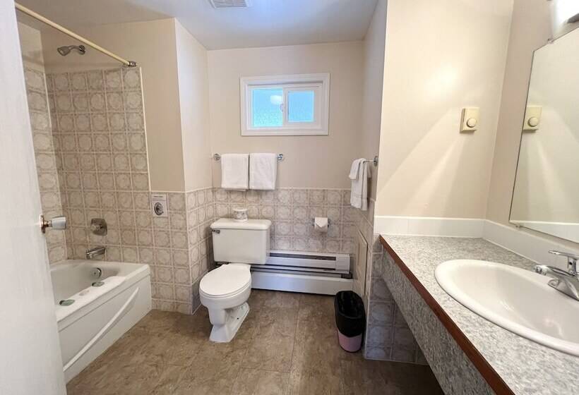 Номер Стандарт 2 Двуспальные Кровати, Villa Motel