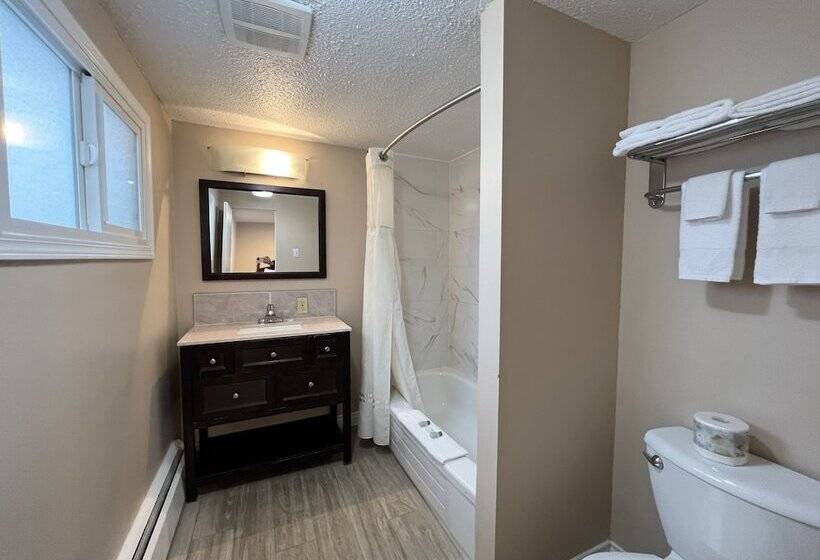 غرفه قياسيه سريرين مزدوجين, Villa Motel