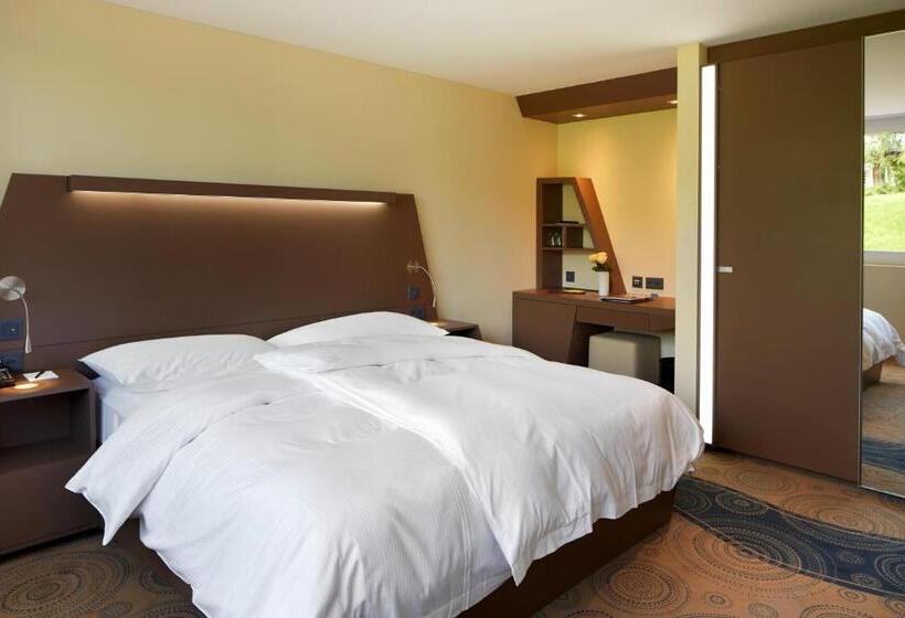 スーペリアールーム, Campus Hotel Hertenstein