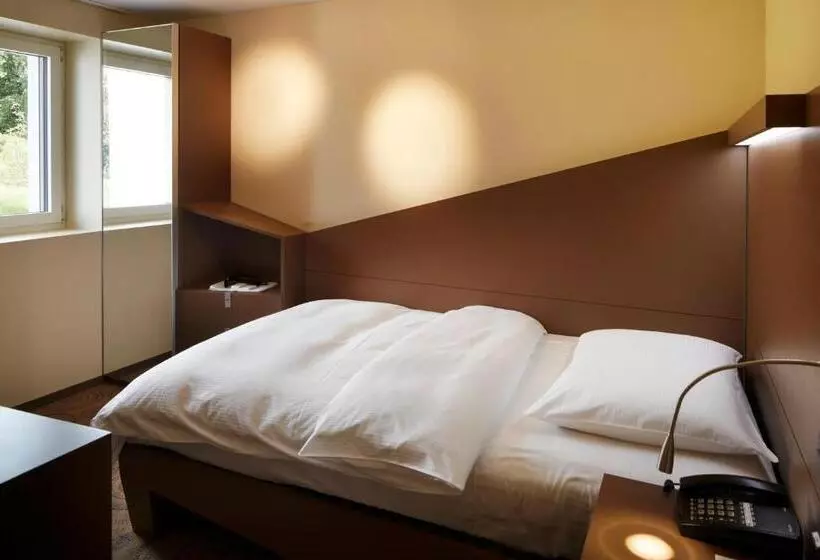 Economy Yhden Hengen Huone, Campus Hotel Hertenstein
