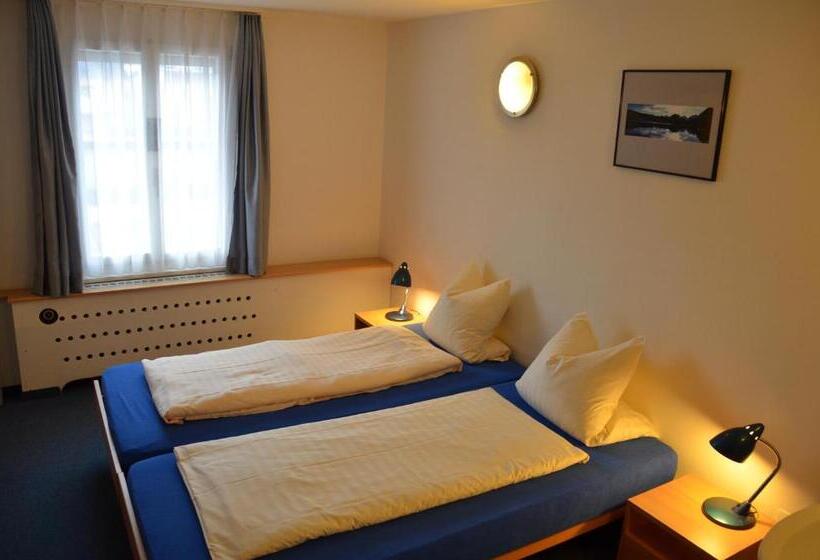 غرفة قياسية, Hirschen Backpacker Hotel & Pub