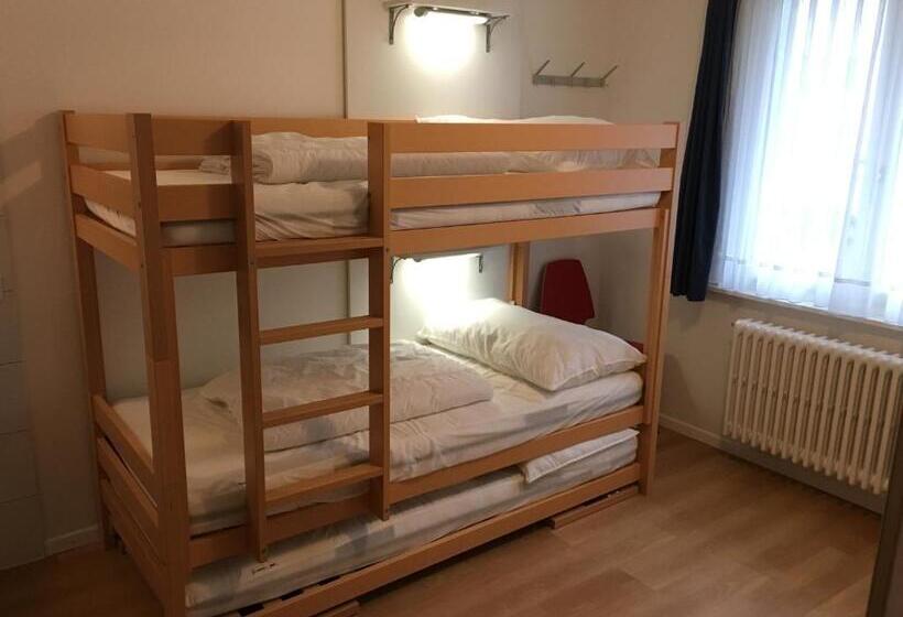 Lit en Chambre Commune, Hirschen Backpacker Hotel & Pub
