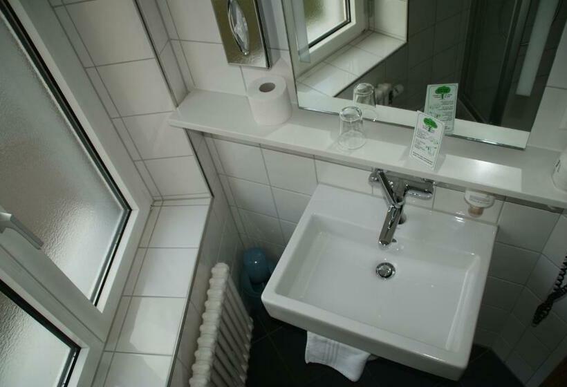 اتاق استاندارد یک نفره, Bristol Zurich