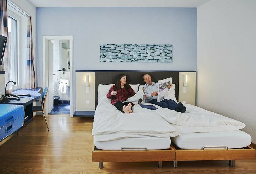 اتاق استاندارد, Bristol Zurich