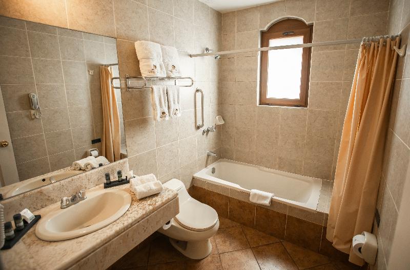 اتاق استاندارد, Bristol Zurich