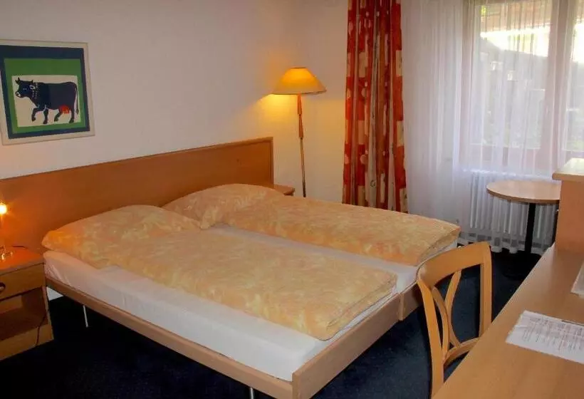 Standard-huone, Eigerblick