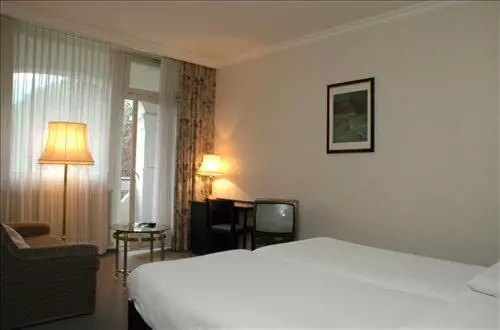اتاق استاندارد یک نفره, Mattenhof Resort