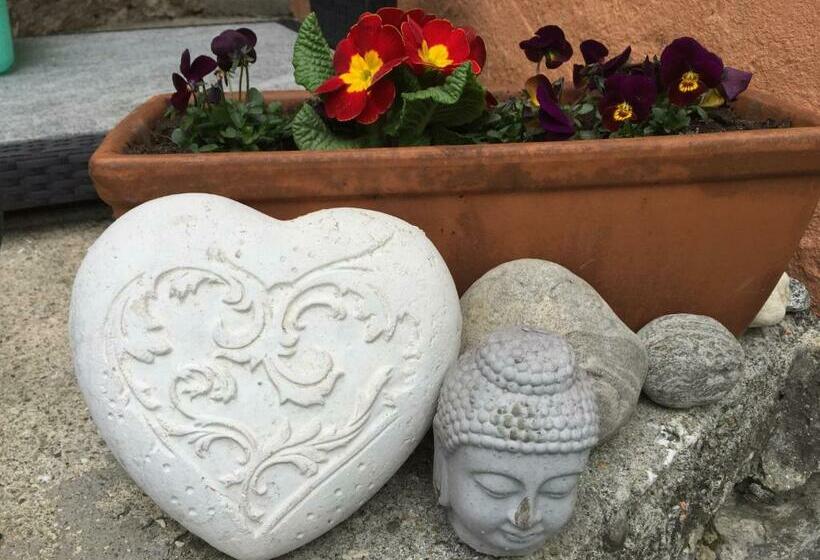 اتاق استاندارد با سرویس بهداشتی مشترک, Pensione Olanda