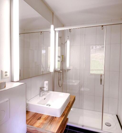 Номер Стандарт Индивидуальный, Restaurant Alpina