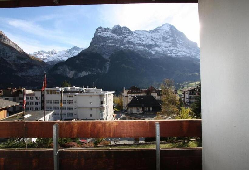 Номер Superior, Restaurant Alpina