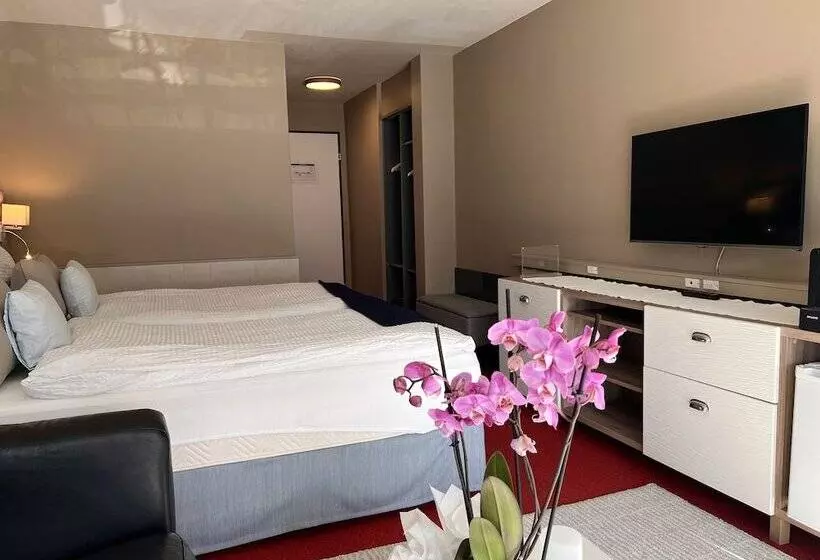 Superior-huone, Seehotel Riviera At Lake Lucerne