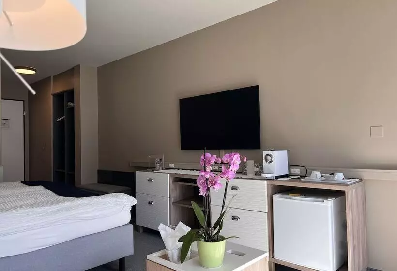 Superior-huone, Seehotel Riviera At Lake Lucerne