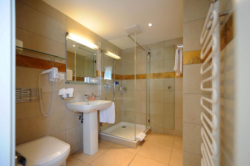 اتاق استاندارد با چشم‌انداز دریاچه, Seehof Hotel Du Lac