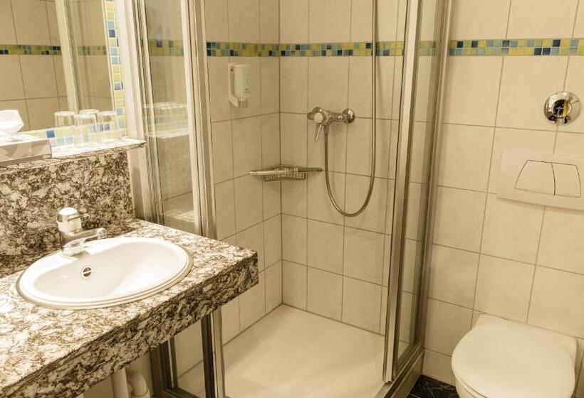 舒适型单人间, Victoria Lauberhorn Wengen