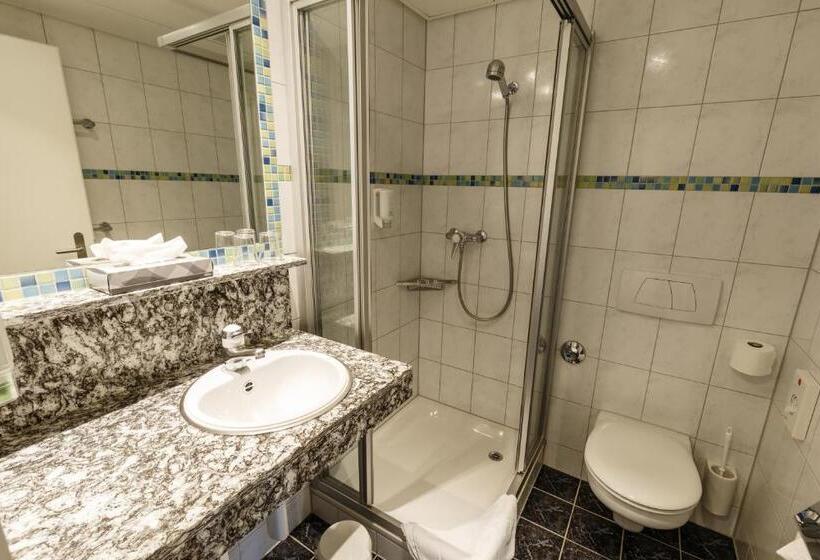 舒适型房间, Victoria Lauberhorn Wengen