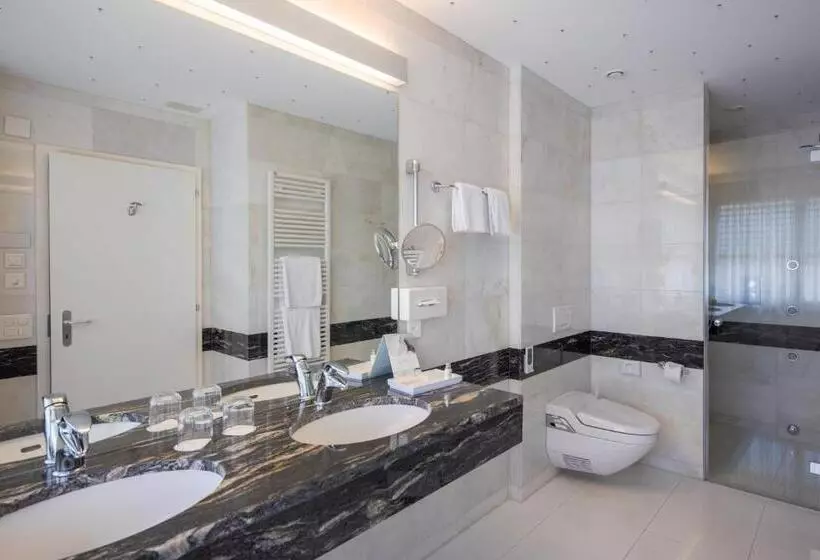スタンダードルーム, Villa Orselina Small Luxury