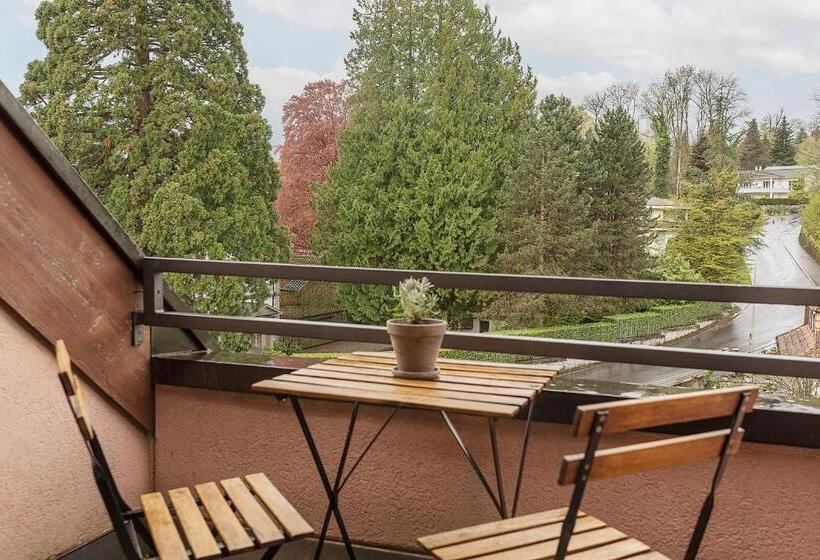 带观景的标准间, Seehotel Kastanienbaum