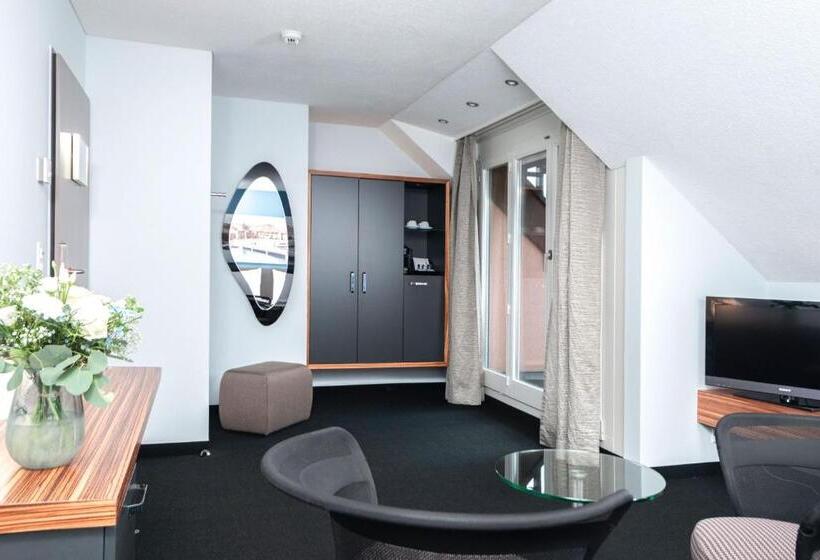 غرفة سوبيريور, Seehotel Kastanienbaum