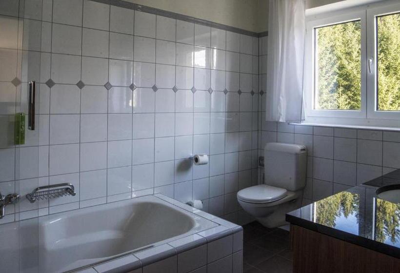 اتاق لوکس, Waldhotel & Spa Davos For Body & Soul