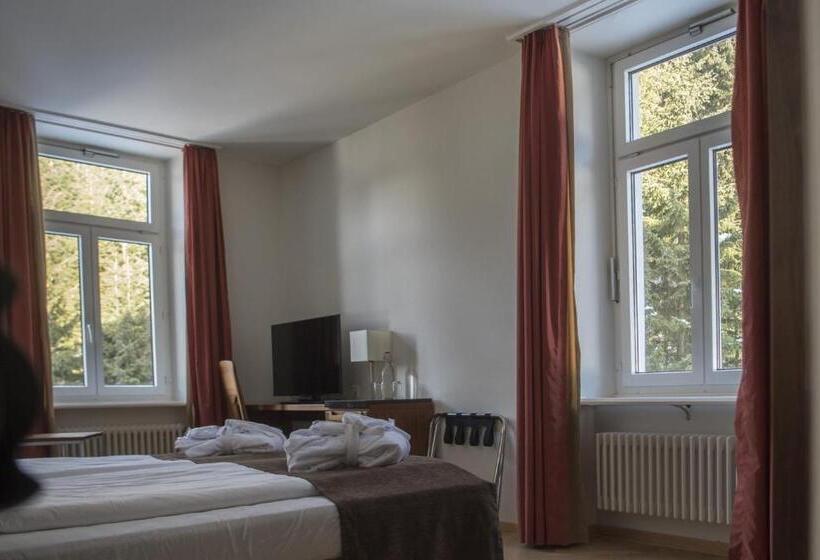 اتاق استاندارد با چشمانداز, Waldhotel & Spa Davos For Body & Soul
