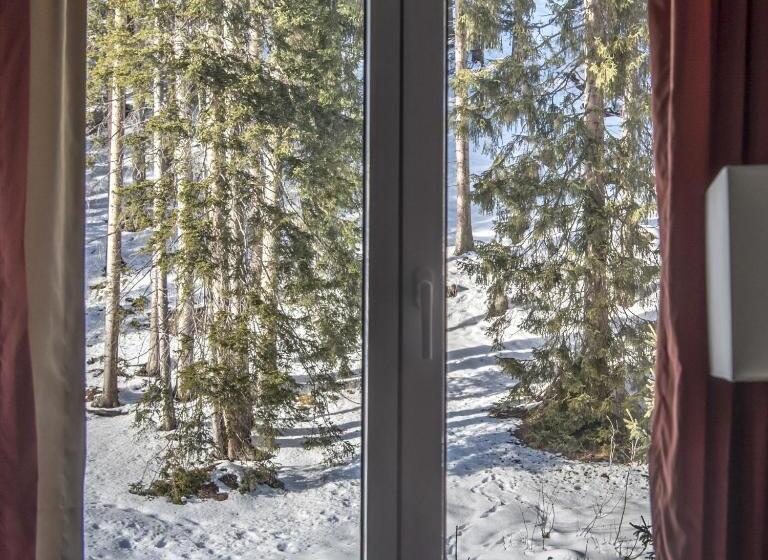 اتاق استاندارد با چشمانداز, Waldhotel & Spa Davos For Body & Soul