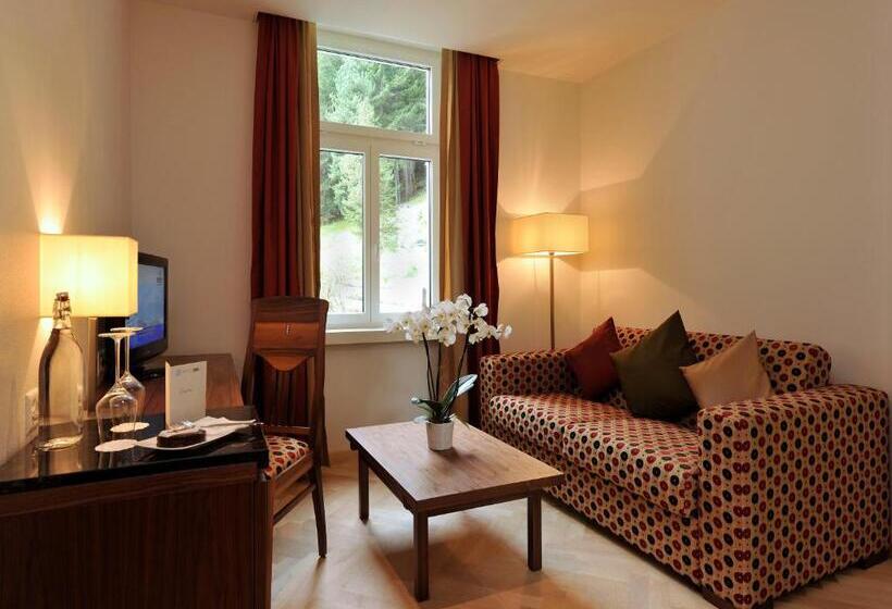اتاق استاندارد با چشمانداز, Waldhotel & Spa Davos For Body & Soul