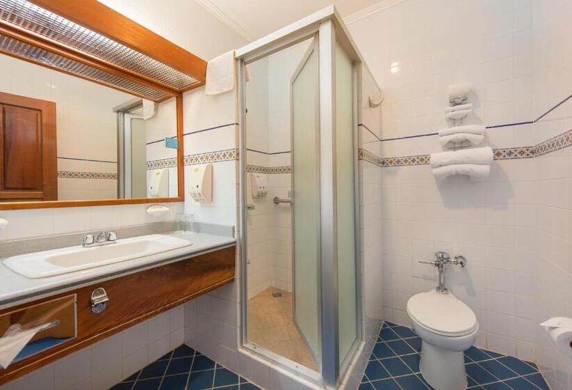 غرفة قياسية مطلة على الجبل, Bougainvillea San Jose