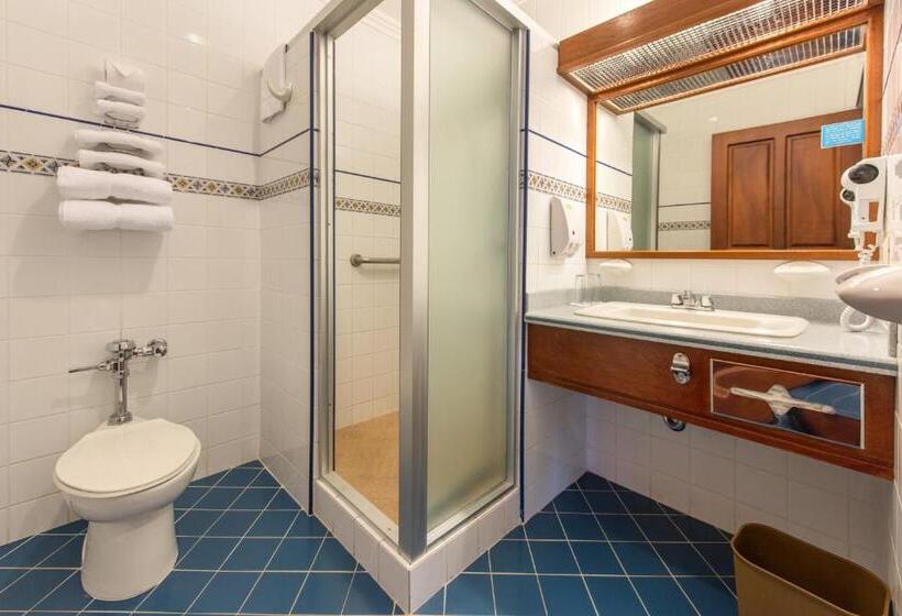 غرفة قياسية مطلة على الجبل, Bougainvillea San Jose